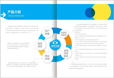 簡約與高端的藝術融合 專業金融與美業畫冊設計服務